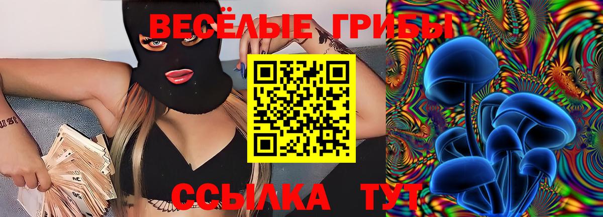 Псилоцибиновые грибы прущие грибы Соль-Илецк