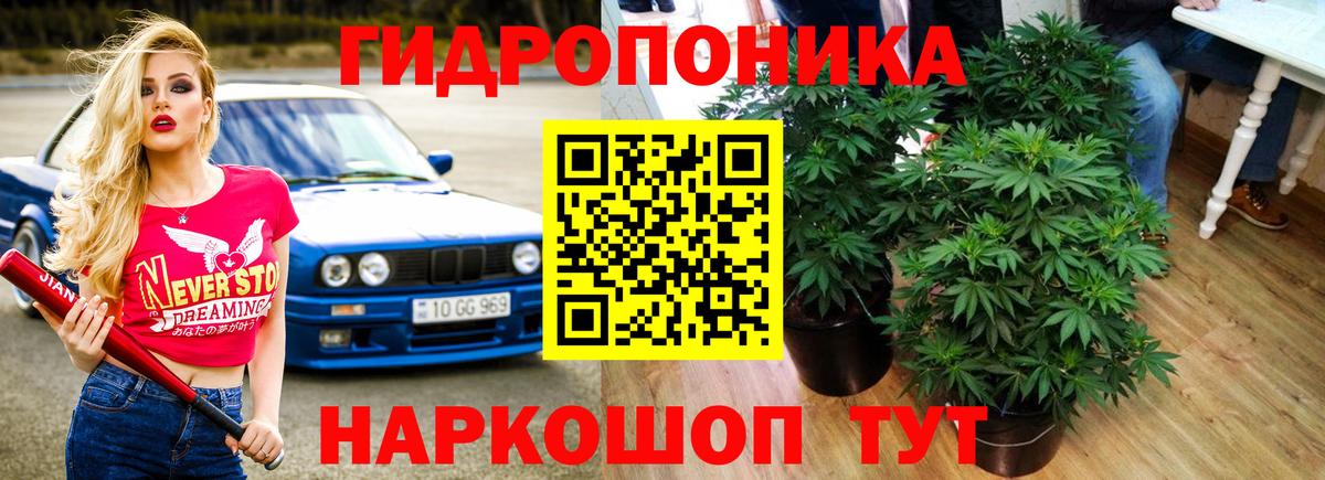 Шишки марихуана сатива  Бошки марихуана OG Kush  Марихуана White Widow  Бошки Шишки AK-47  Вход с VPN  Соль-Илецк 
